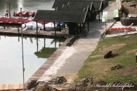 Alsdorf abseits aller Straßen, Alsdorfer Weiher und Tierpark, Foto-Nr. 31, 09.09.2009<br />Es tut sich endlich was.