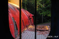 Alsdorf abseits aller Straßen, Alsdorfer Weiher und Tierpark, Foto-Nr. 40, 19.09.2009<br />Anna N.9