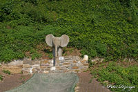 Alsdorf abseits aller Straßen, Alsdorfer Weiher und Tierpark, Foto-Nr. 21, 09.09.2009<br />Große Ohren &amp; trockener Rüssel