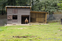 Alsdorf abseits aller Straßen, Alsdorfer Weiher und Tierpark, Foto-Nr. 78, 19.09.2009<br />Türsteher