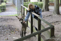 Alsdorf abseits aller Straßen, Alsdorfer Weiher und Tierpark, Foto-Nr. 79, 19.09.2009<br />ich wachse noch - bin ja erst 2 Monate