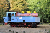 Alsdorf abseits aller Straßen, Alsdorfer Weiher und Tierpark, Foto-Nr. 37, 20.09.2009<br />Anna N. 9