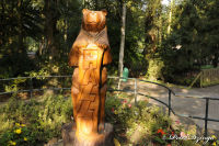 Alsdorf abseits aller Straßen, Alsdorfer Weiher und Tierpark, Foto-Nr. 83, 20.09.2009<br />... und dann kam die Sonne.