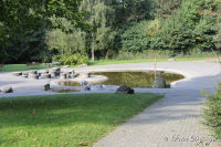 Alsdorf abseits aller Straßen, Alsdorfer Weiher und Tierpark, Foto-Nr. 63, 20.09.2009