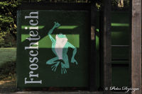 Alsdorf abseits aller Straßen, Alsdorfer Weiher und Tierpark, Foto-Nr. 60, 20.09.2009<br />Froschteich