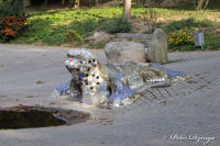 Alsdorf abseits aller Straßen, Alsdorfer Weiher und Tierpark, Foto-Nr. 64, 20.09.2009