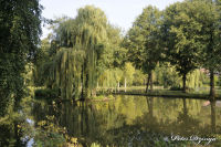 Alsdorf abseits aller Straßen, Alsdorfer Weiher und Tierpark, Foto-Nr. 67, 20.09.2009<br />Angelteich