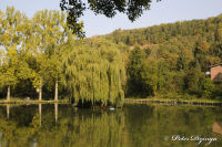 Alsdorf abseits aller Straßen, Alsdorfer Weiher und Tierpark, Foto-Nr. 65, 20.09.2009<br />Angelteich