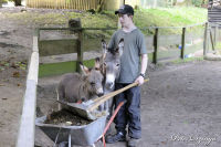 Alsdorf abseits aller Straßen, Alsdorfer Weiher und Tierpark, Foto-Nr. 80, 20.09.2009<br />... das ist unser Pfleger.
