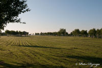 Abseits aller Straßen, Anna-Park, Foto-Nr. 35, 03.06.2010<br />Morgens um 1/2 8 im Anna-Park