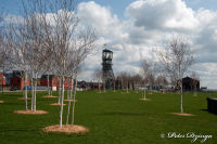 Alsdorf abseits aller Straßen, Anna-Park, Foto-Nr. 27, 05.04.2010