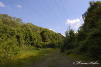 Alsdorf abseits aller Straßen, Bergehalde Noppenberg, Foto-Nr. 8, 22.05.2009