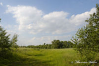 Alsdorf abseits aller Straßen, Bergehalde Noppenberg, Foto-Nr. 9, 22.05.2009<br />die ersten Wiesen. Früher waren das "Schlammweiher"