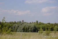 Alsdorf abseits aller Straßen, Bergehalde Noppenberg, Foto-Nr. 11, 22.05.2009<br />auf einer Höhe mit dem Kirchturm von Siedlung Busch