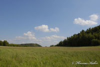 Alsdorf abseits aller Straßen, Bergehalde Noppenberg, Foto-Nr. 13, 22.05.2009<br />die Halde im Blick
