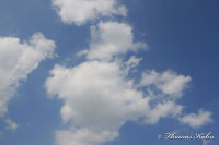 Alsdorf abseits aller Straßen, Bergehalde Noppenberg, Foto-Nr. 15, 22.05.2009<br />Sommerhimmel