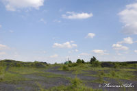 Alsdorf abseits aller Straßen, Bergehalde Noppenberg, Foto-Nr. 52, 22.05.2009