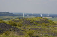 Alsdorf abseits aller Straßen, Bergehalde Noppenberg, Foto-Nr. 55, 22.05.2009