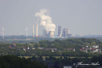 Alsdorf abseits aller Straßen, Bergehalde Noppenberg, Foto-Nr. 50, 22.05.2009<br />Blick auf Weisweiler