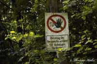 Alsdorf abseits aller Straßen, Bergehalde Noppenberg, Foto-Nr. 4, 22.05.2009<br />..was soll das? Die Bergehalde ist aus der "Bergaufsicht"