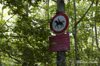 Alsdorf abseits aller Straßen, Bergehalde Noppenberg, Foto-Nr. 5, 22.05.2009