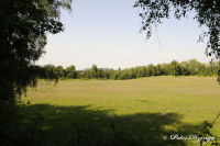 Alsdorf abseits aller Straßen, Bergehalde Noppenberg, Foto-Nr. 18, 24.05.2009<br />Rundweg auf halber Höhe