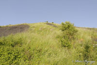 Alsdorf abseits aller Straßen, Bergehalde Noppenberg, Foto-Nr. 29, 24.05.2009<br />Rundweg auf halber Höhe<br />nach da oben müssen wir noch.