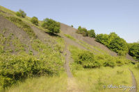 Alsdorf abseits aller Straßen, Bergehalde Noppenberg, Foto-Nr. 30, 24.05.2009<br />Rundweg auf halber Höhe<br />Spuren.