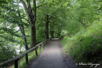 Alsdorf abseits aller Straßen, Broichbachtal, Foto-Nr. 12, 18.05.2009<br />Ein Spaziergang durchs Broichbachtal<br />... der Weg oberhalb vom "Broicher Weiher"