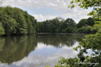 Alsdorf abseits aller Straßen, Broichbachtal, Foto-Nr. 15, 18.05.2009<br />Ein Spaziergang durchs Broichbachtal<br />Unser "Broicher Weiher"
