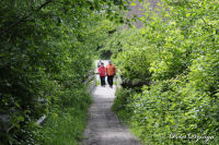 Alsdorf abseits aller Straßen, Broichbachtal, Foto-Nr. 16, 18.05.2009<br />Ein Spaziergang durchs Broichbachtal<br />Ein Gelände zum Wandern und Joggen.