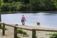 Alsdorf abseits aller Straßen, Broichbachtal, Foto-Nr. 14, 18.05.2009<br />Ein Spaziergang durchs Broichbachtal<br />Der "Broicher Weiher" - von der NABU eingesperrt gegen Mensch und Tier - was für ein Wahnsinn! Auch der Mensch ist ein Stück Natur.