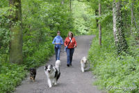 Alsdorf abseits aller Straßen, Broichbachtal, Foto-Nr. 19, 18.05.2009<br />Ein Spaziergang durchs Broichbachtal<br />Begegnung mit Mensch und Tier.
