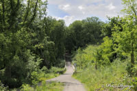 Alsdorf abseits aller Straßen, Broichbachtal, Foto-Nr. 21, 18.05.2009<br />Ein Spaziergang durchs Broichbachtal<br />Weggabelung Richtung Alt-Ofden
