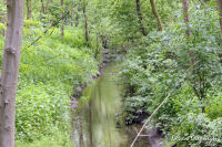 Alsdorf abseits aller Straßen, Broichbachtal, Foto-Nr. 29, 18.05.2009<br />Ein Spaziergang durchs Broichbachtal<br />Der "Broicher Bach" neben dem "Herrenweg"