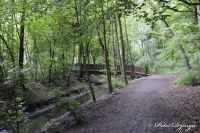 Alsdorf abseits aller Straßen, Broichbachtal, Foto-Nr. 30, 18.05.2009<br />Ein Spaziergang durchs Broichbachtal<br />Brücke zu den Nebenteichen des Alsdorfer Weiher.