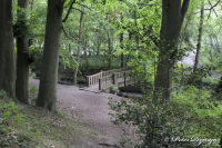 Alsdorf abseits aller Straßen, Broichbachtal, Foto-Nr. 37, 18.05.2009<br />Ein Spaziergang durchs Broichbachtal<br />... und weiter geht es Richtung Alsdorfer Weiher ...