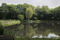Alsdorf abseits aller Straßen, Broichbachtal, Foto-Nr. 4, 20.05.2009<br />Ein Spaziergang durchs Broichbachtal<br />Angelteich des Angelvereins "Maria Hauptschacht"