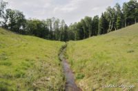Alsdorf abseits aller Straßen, Broichbachtal, Foto-Nr. 22, 20.05.2009<br />Ein Spaziergang durchs Broichbachtal<br />Ohne Kommentar - es lohnt sich nicht.