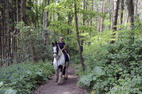 Alsdorf abseits aller Straßen, Broichbachtal, Foto-Nr. 25, 20.05.2009<br />Ein Spaziergang durchs Broichbachtal<br />Eine nette Begegnung am Wegesrand