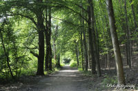 Alsdorf abseits aller Straßen, Broichbachtal, Foto-Nr. 28, 20.05.2009<br />Ein Spaziergang durchs Broichbachtal<br />Der "Herrenweg" in Kellersberg