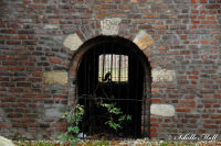 Alsdorf-Mitte, Burgstraße, Foto-Nr. 17, 24.10.2009