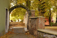 Alsdorf-Mitte, Cäcilienstraße, Foto-Nr. 3, 24.10.2009<br />Der süße Huck