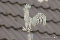 Begau, Alter Römerweg, Foto-Nr. 21, 10.04.2009<br />Kunstschmiedearbeiten<br />Wetterhahn