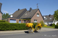 Begau, Alter Römerweg, Foto-Nr. 14, 02.05.2009