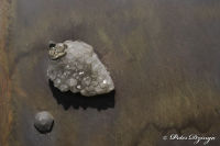 Begau, Alter Römerweg, Foto-Nr. 30, 02.05.2009<br />Kunstschmiedearbeiten