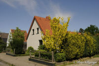 Begau, Auf der Weide, Foto-Nr. 14, 02.05.2009