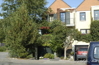 Begau, Ehrenstraße, Foto-Nr. 3, 22.09.2007