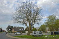 Begau, Ehrenstraße, Foto-Nr. 28, 10.04.2009<br />Kohlenlore