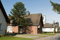 Begau, Ehrenstraße, Foto-Nr. 21, 18.03.2009